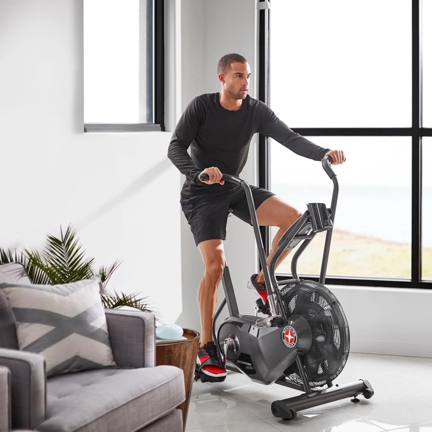 schwinn airdyne ad6 exercise bikes. schwinn airdyne ad6 exercise bikes.