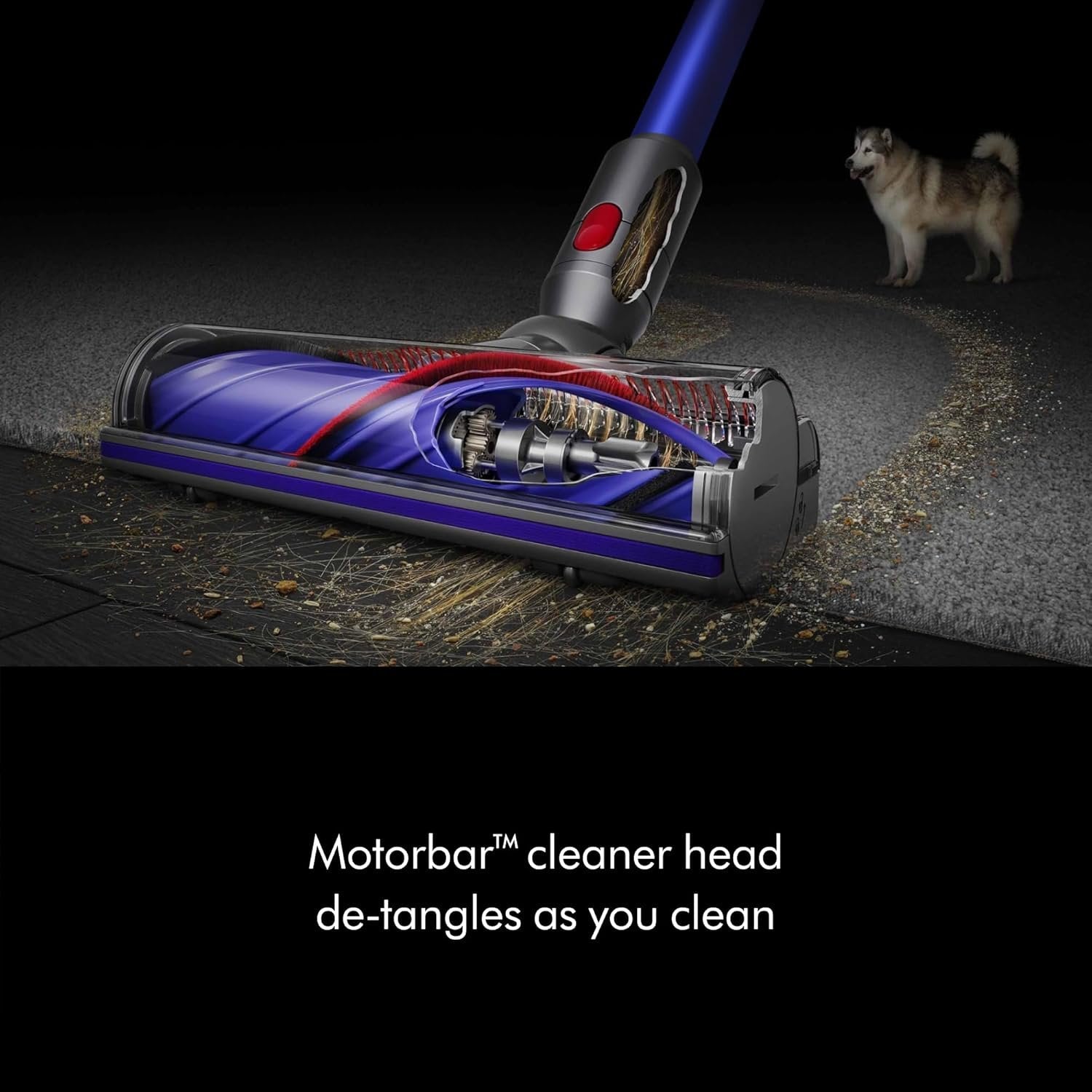 dyson v11 cordless stick vacuum, large, nickel/blue dyson v11 cordless stick vacuum, large, nickel/blue