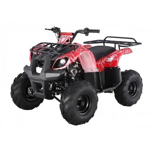 tao motors d125 kids atvs tao motors d125 kids atvs