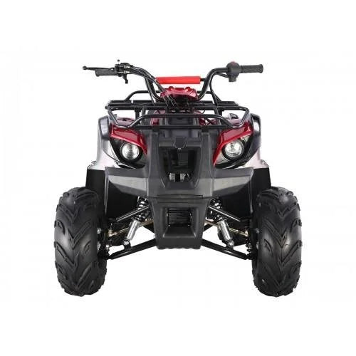 tao motors d125 kids atvs tao motors d125 kids atvs