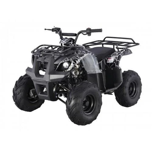 tao motors d125 kids atvs tao motors d125 kids atvs